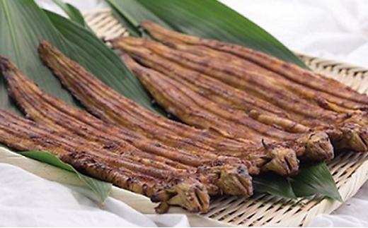 堺あなご専門 松井泉　あなご屋社長におまかせ 焼あなご 約750g（7～14尾）