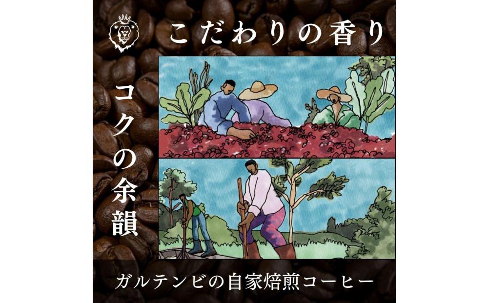 ガルテンビコーヒー 2種飲み比べセット　豆のまま　500g（250ｇ×2袋）