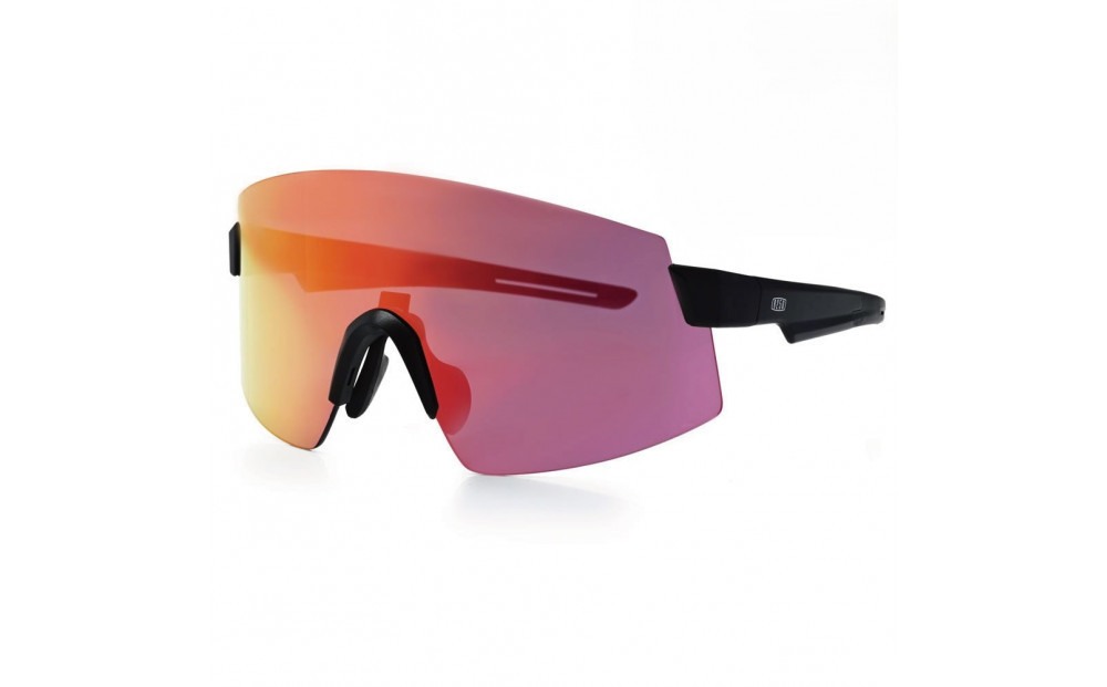 R250 EW301 アイウェア  フレーム：ブラック レンズ3枚付