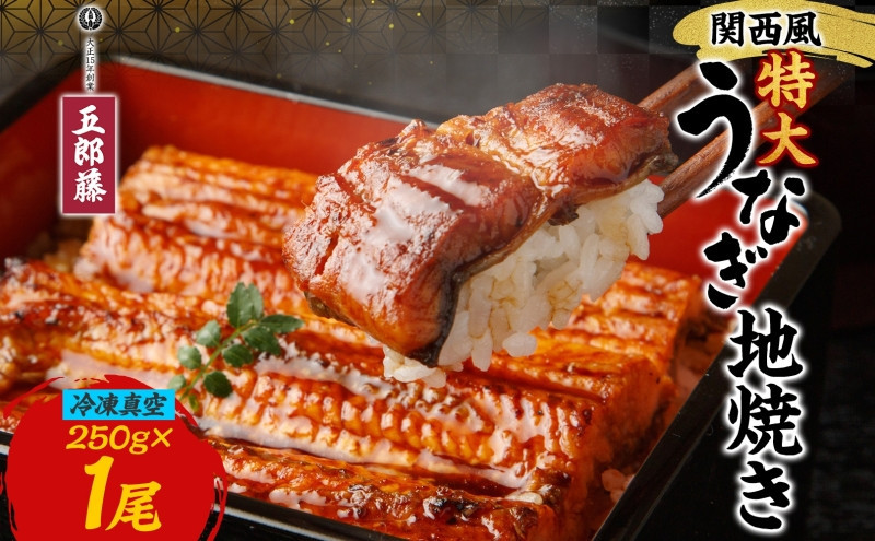 関西風うなぎ地焼き特大 冷凍真空 1尾×250g うなぎ ウナギ タレ 老舗 伝統 蒲焼き 真空パック 小分け 丑の日 ひつまぶし うな重 お取り寄せ グルメ プレゼント 贈答 贈り物 土用の丑の日 五郎藤 大阪府 堺市