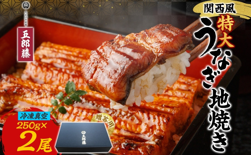 関西風うなぎ地焼き特大 冷凍真空 2尾×250g  贈答 うなぎ ウナギ タレ 老舗 伝統 蒲焼き 小分け 丑の日 ひつまぶし うな重 お取り寄せ グルメ プレゼント 贈答 贈り物 土用の丑の日 五郎藤 大阪府 堺市