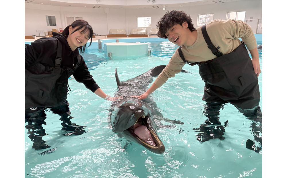 ノアドルフィンドーム　浅瀬でイルカと遊ぶ体験 ペア入場券付