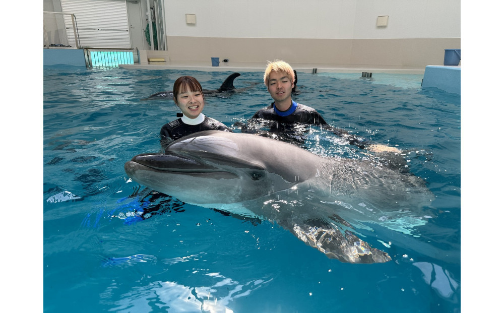 ノアドルフィンドーム　ドルフィンスイム体験　ペア入場券付