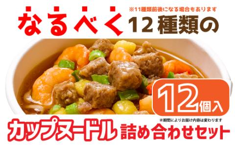 【05-05-C】「インスタントラーメン発祥の地・大阪池田」お手頃ハーフサイズセット
