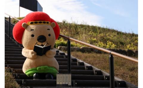 【38-03】『池田市史』よりどり２冊セット