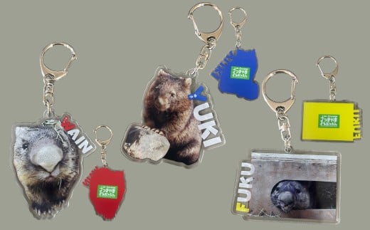 【24-08】五月山動物園　ウォンバットグッズBセット