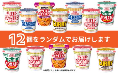 【05-05-C】「インスタントラーメン発祥の地・大阪池田」お手頃ハーフサイズセット