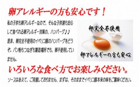 【25-15】イベリコ豚100% 手作りハンバーグ 110g×4個（冷凍）