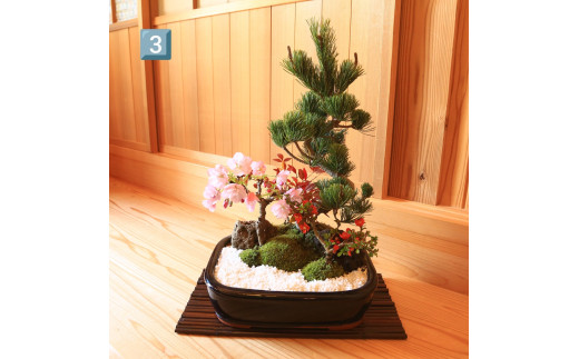 【39-05】 養庄園 季節の寄せ植え盆栽