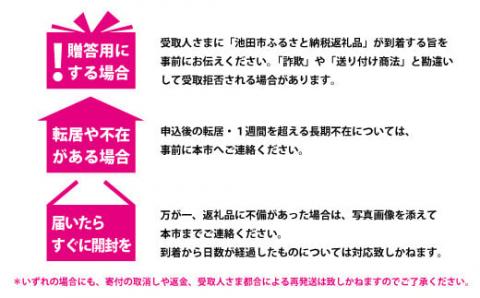 【05-05-C】「インスタントラーメン発祥の地・大阪池田」お手頃ハーフサイズセット