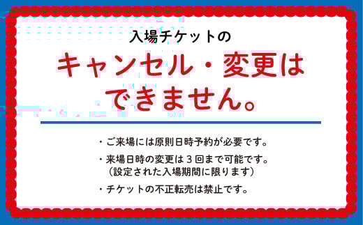 【70-06】2025年 大阪・関西万博入場チケット 一日券（小人）