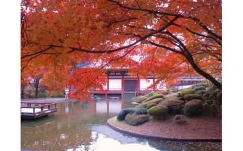 【43-01】久安寺 座禅・写経体験