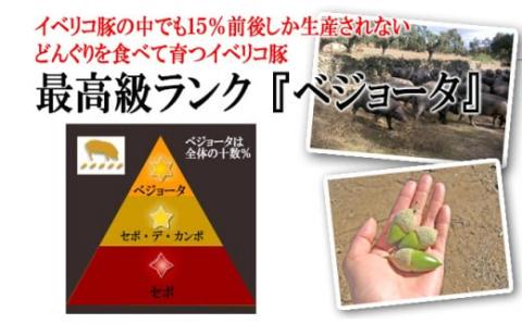 【25-29】絶品イベリコ豚レトルトカレー4個入