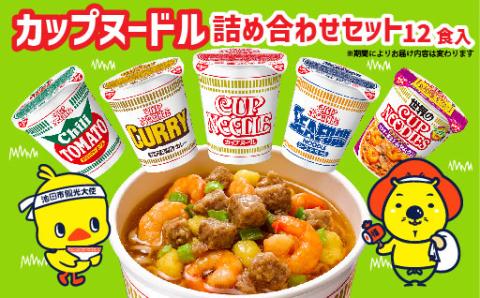 【05-05-C】「インスタントラーメン発祥の地・大阪池田」お手頃ハーフサイズセット