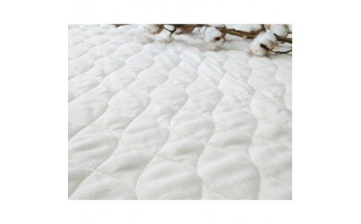 オーガニックコットン ガーゼ まくらパッド 2枚組 [0182]