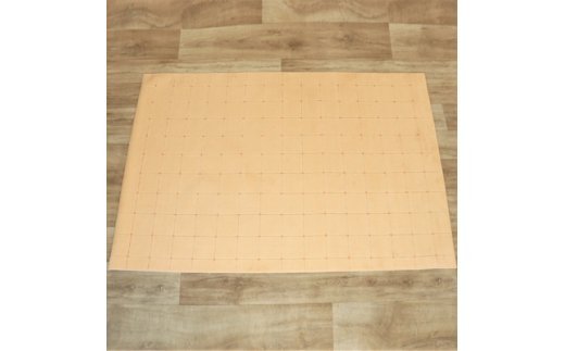 抗ウィルス、抗アレル物質、抗菌、消臭、防ダニ【PT-5】カーペット 130×190 コーラル [0927]