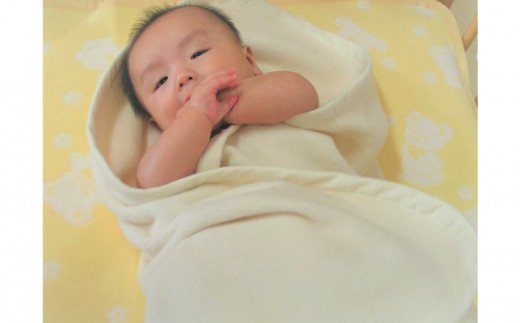 おくるみ毛布 (オーガニック綿使用) 毛布の町泉大津産 [2425]