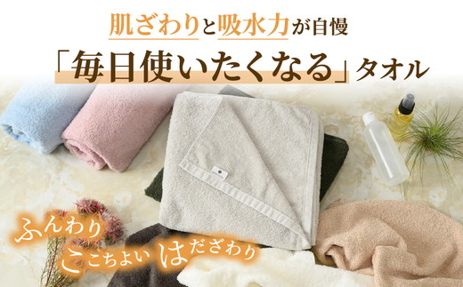 吸水力と肌触りが自慢のデイリーユース大判バスタオル 2枚セット 単色