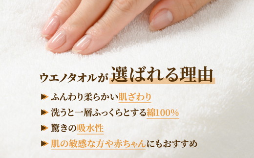 【泉州タオル】片面ガーゼバスタオル 3枚セット（同色） ｜ ガーゼパイル 片面ガーゼ タオル 赤ちゃん ベビー 沐浴 湯上げタオル 敏感肌 優しい 肌触り 薄手 速乾 吸水 綿100% 日本製 ※離島への配送不可