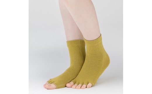 天然の美容繊維 シルク指汗さわやかソックス 同色2組 フリーサイズ H-SO1203X2