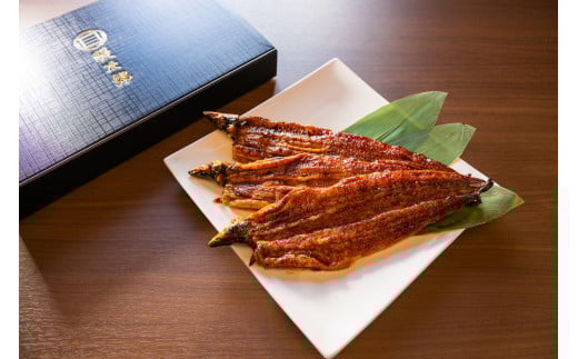 [特大] 国産 関西風地焼き うなぎ 1尾【白焼】1尾 180g以上 ｜ うなぎ 泉大津 鰻 蒲焼き 冷凍鰻 活鰻 鰻次郎 うな重 土用の丑の日 お取り寄せ 贈り物 ギフト 高級 うなぎの日 ウナギ unagi ※離島への配送不可