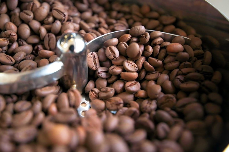 ご家庭で楽しむ自家焙煎珈琲ドリップバック 15個入り×7袋