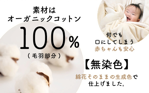 泉大津製 無着色 オーガニック コットン マイヤー毛布(毛羽部分)｜マイヤー 毛布 極上 肌ざわり 肌触り 吸水性 日本製 綿 100％ 毛布の町 ワンランク上 睡眠 熟睡 快眠 昼寝 寝具 品質基準 敬老の日 プレゼント ギフト 誕生日 記念日 大阪 泉大津[0743]