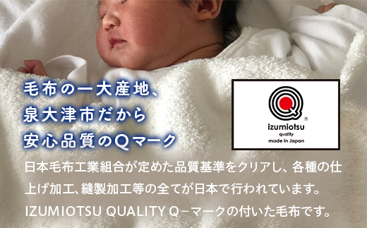 《訳あり》洗える 日本製 アクリル マイヤー毛布 シングル 2枚組 (ニューマイヤー毛布)｜毛布 マイヤー ニューマイヤー 洗濯 快眠 快適 熟睡 昼寝 寝具 布団 ベッド 睡眠 敬老の日 父の日 母の日 ギフト 贈り物 プレゼント 大阪 泉大津 [2408]