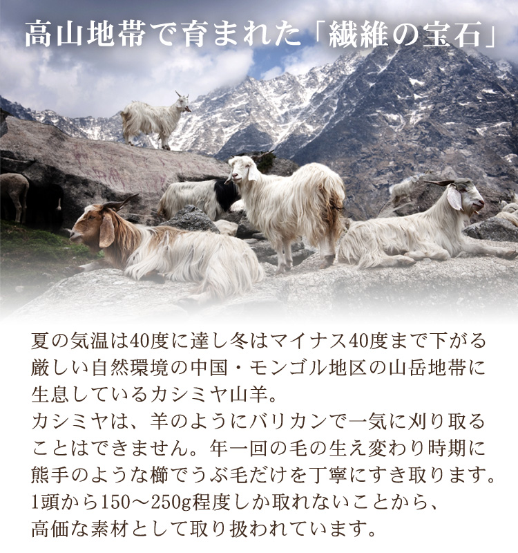 カシミヤ毛布 ダブルサイズ 180×210cm [3756] カシミヤ ダブル CS-15W