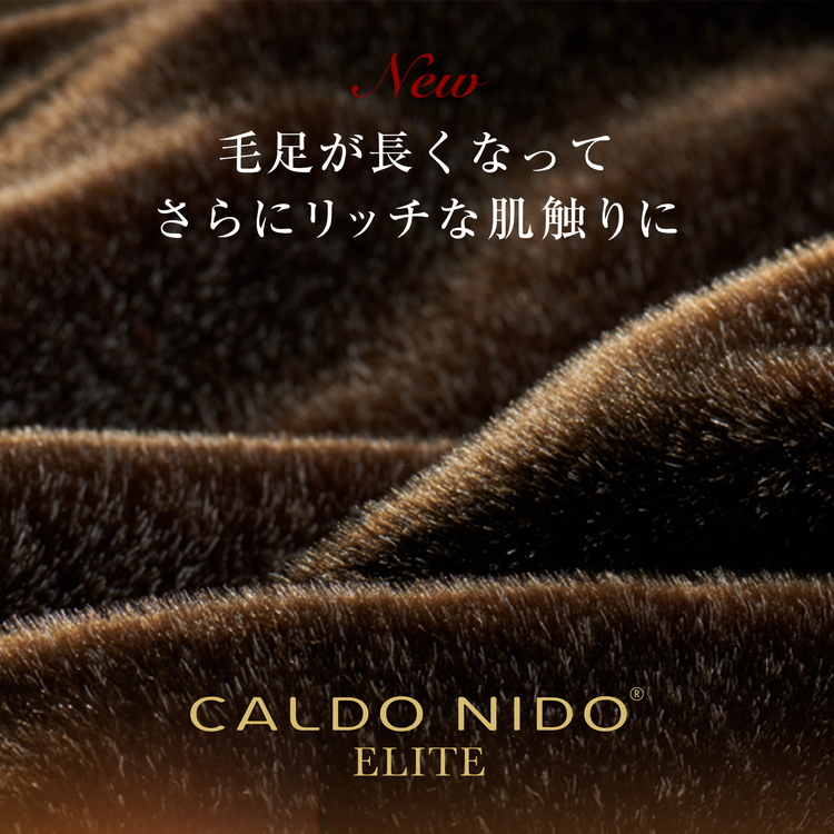 カルドニード・エリート 掛け毛布 ブラウン ダブル (180×200cm) 【db】[4221]