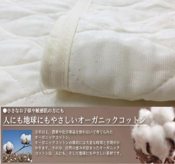 [訳あり] オーガニックコットン 無染色 敷パッド＋枕パッドセット シングル OG-1S＋OG-5LKI [4601]