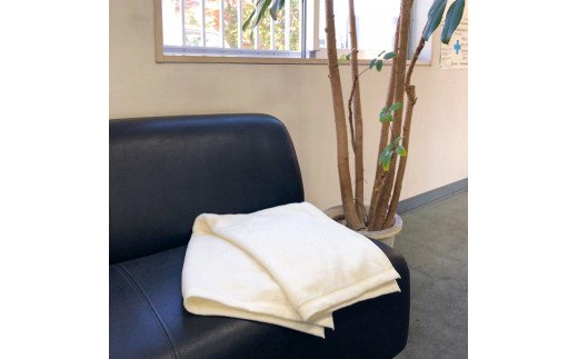 天然素材のやわらかコットン100% 吸水性抜群！ 綿マイヤーひざ掛け OZ-301 [4592]