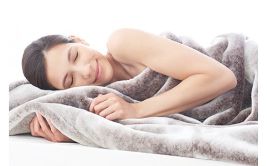 プレドラートル ブラウン 掛け毛布 シングル(140×200cm)【db】 [3949]