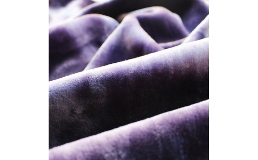 カルドニード・ノッテ2 敷き毛布 セミダブル (120×205cm) パープル [4158]