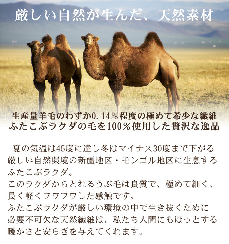 キャメル毛布 ミニひざ掛けサイズ [2168]