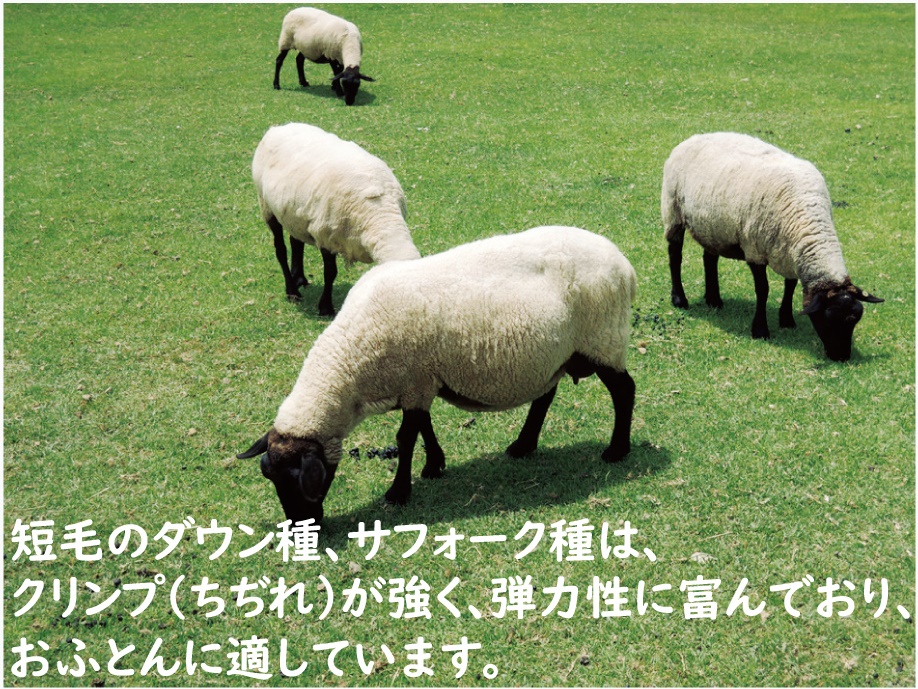 英国羊毛100%わた入り二層敷布団 厚手の敷ふとん シングルロング グリーン K04J372845ELB [2736]