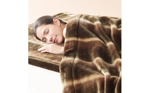 カルドニード・ノッテ2 敷き毛布 シングル (100×205cm) ブラウン【db】 [4248]