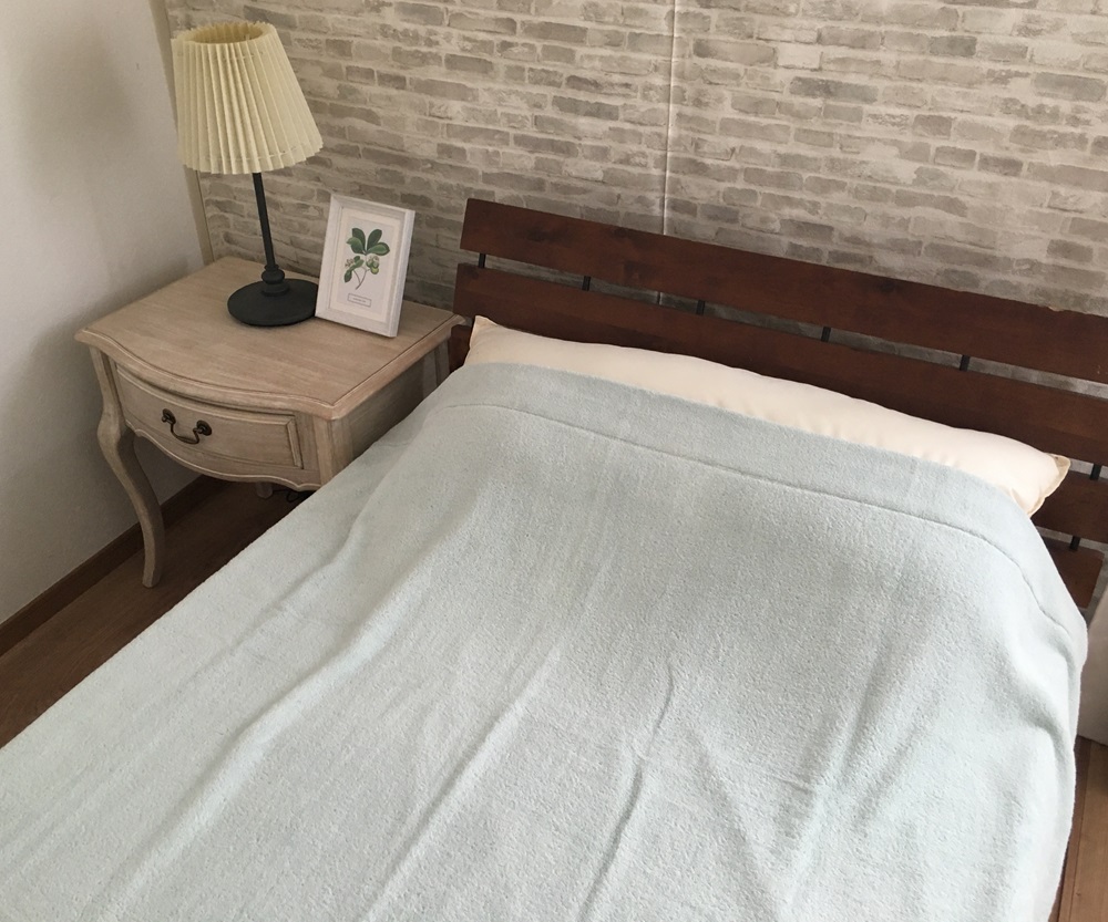 TEXSAS COTTON 100% タオルケット シングル グリーン 1枚 SNT-20TXGR [3230]