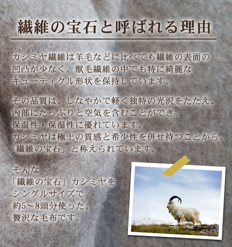 カシミヤ毛布 シングルサイズ [3755]