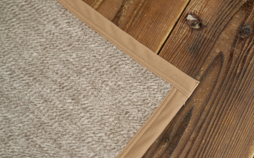 職人こだわりの逸品　日本製ご家庭で手洗いできるシルク混綿毛布（毛羽部分）シングルサイズ　FNM-025