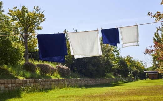 【限定50】【訳あり】バラエティフェイスタオル12枚セット