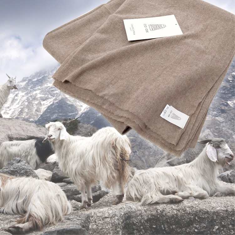 【シングルサイズ】CO-ON とろけるような肌ざわりのカシミヤ毛布 140×200cm CO-CA-S