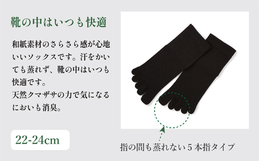 SASAWASHI レディス5本指靴下（22～24cm）3色組