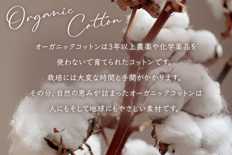 オーガニックコットン 綿毛布 シングルサイズ ニューマイヤー アイボリー 1枚 OGMM-1 [3215]