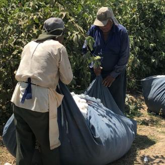 オーガニックコットンブランケット(杢) [4400]