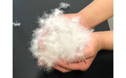 ホワイトダックダウン 50%入り(0.3kg使用) 羽毛肌掛けふとん シングルサイズ ブルー色 UF7150 [4626]