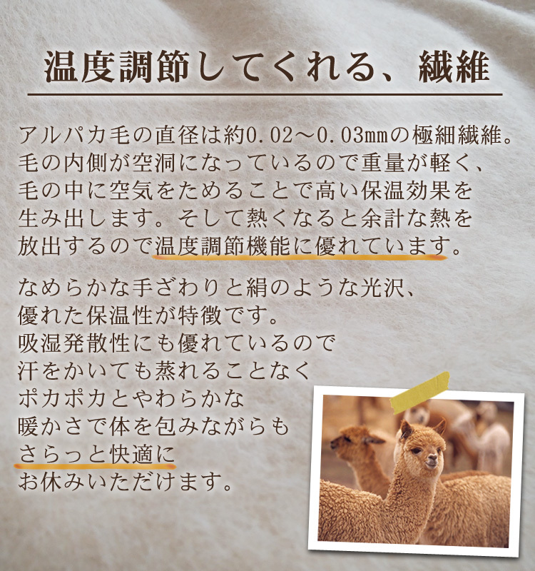 アルパカ毛布 ハーフサイズ [2157]
