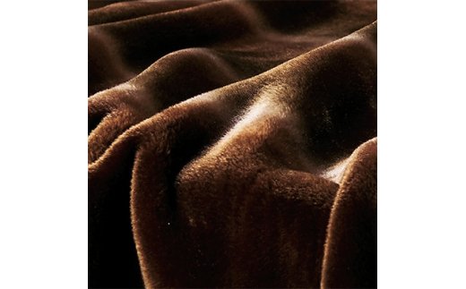 カルドニード・ノッテ2 敷き毛布 シングル (100×205cm) ブラウン【db】 [4248]