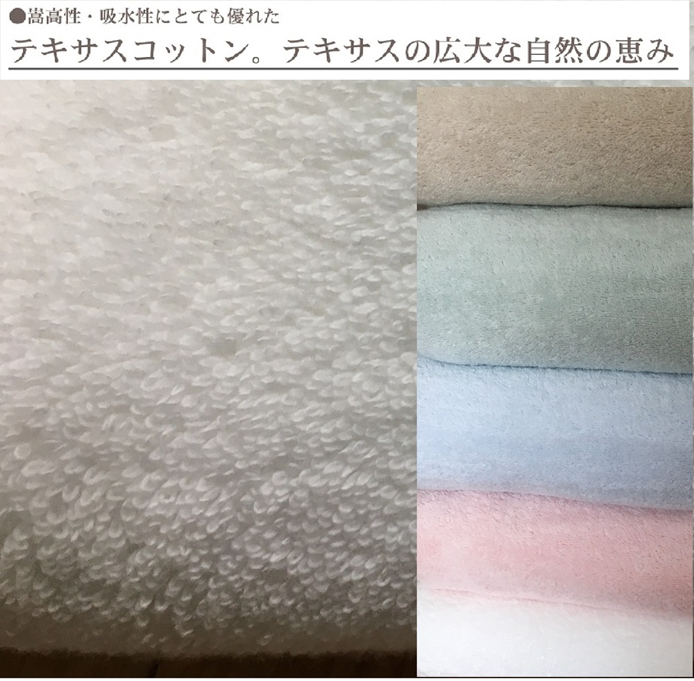 TEXSAS COTTON 100% タオルケット シングル ホワイト 1枚 SNT-20TXWH [3227]