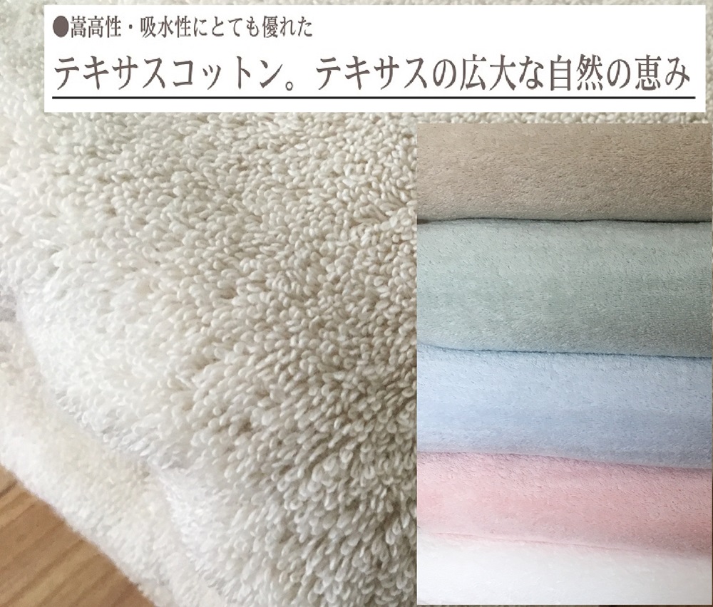 TEXSAS COTTON 100% タオルケット シングル ベージュ 1枚 SNT-20TXBE [3231]